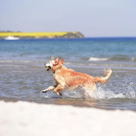 Residenz Am Teich Whg Rat4 Boltenhagen