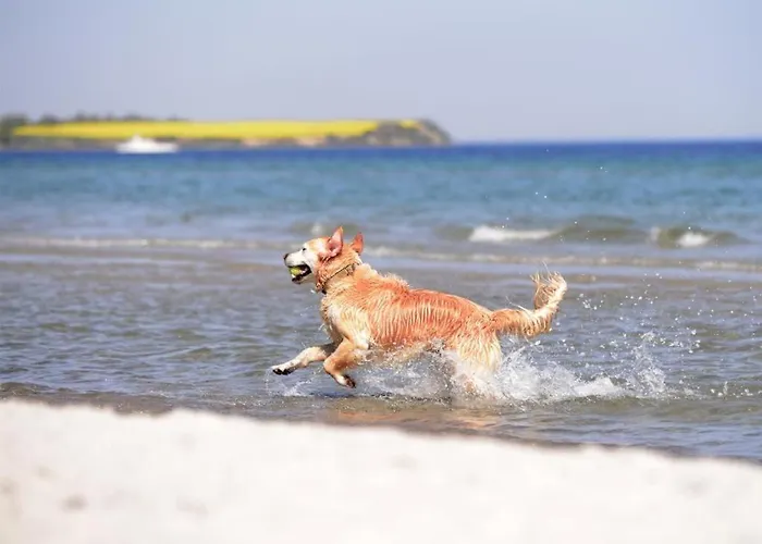 Residenz Am Teich Whg Rat4 Boltenhagen